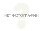 Структура сайта